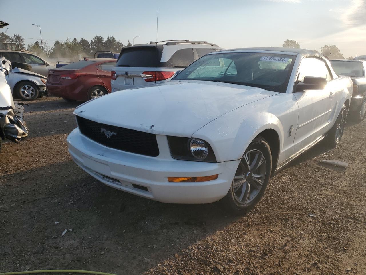 Lot #2962700068 2007 FORD MUSTANG