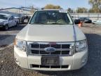 Lot #3028341796 2009 FORD ESCAPE XLT