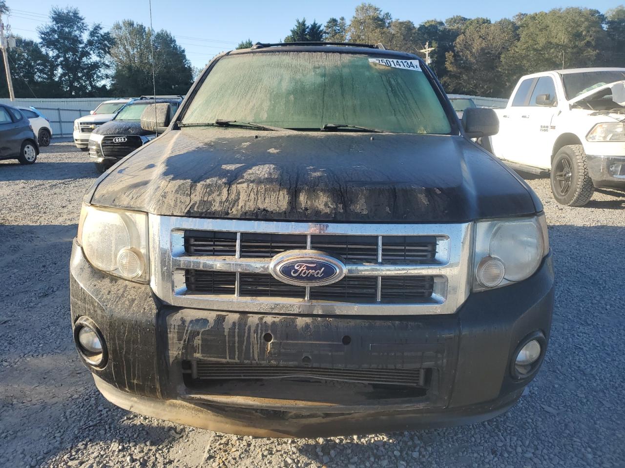 Lot #2947461943 2011 FORD ESCAPE LIM