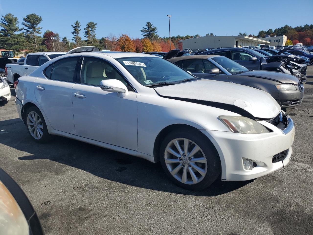 Lot #2938012861 2009 LEXUS IS 250