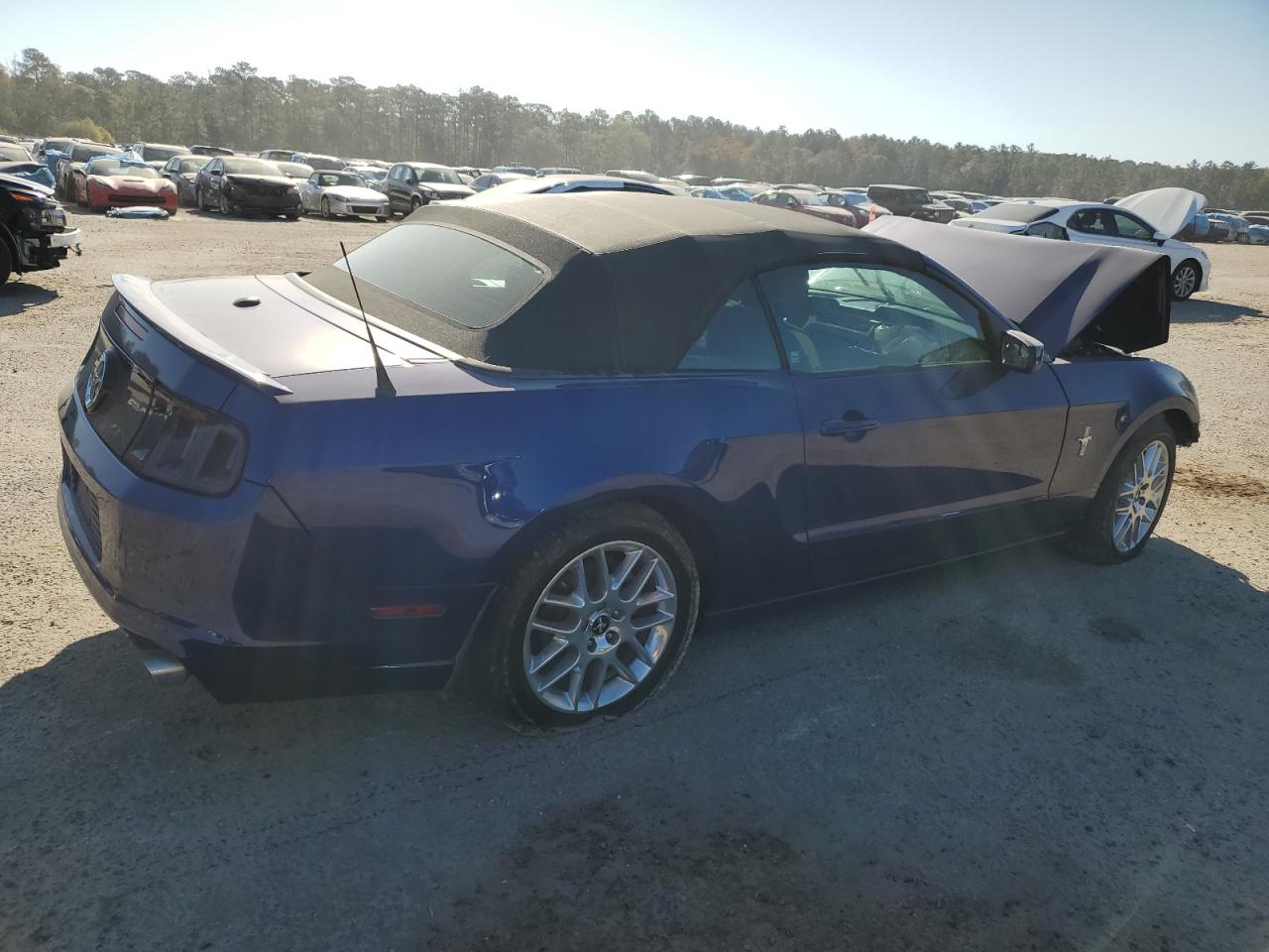 Lot #2952735209 2014 FORD MUSTANG