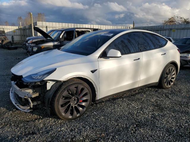 2020 TESLA MODEL Y #2996362377