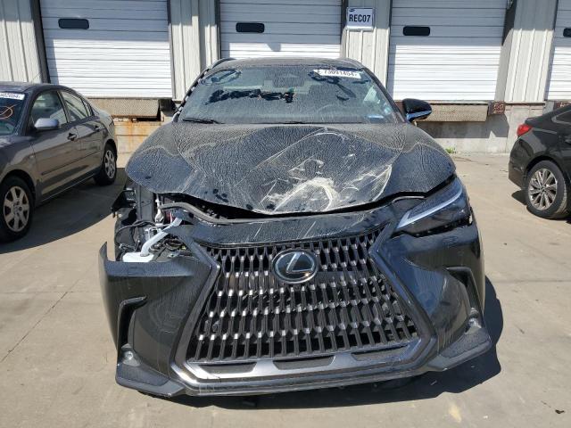 2024 LEXUS NX 350 LUX 2T2HGCEZ2RC039677
