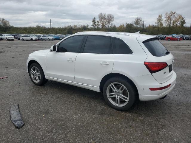 VIN WA1LFAFP6DA043113 2013 AUDI Q5 no.2