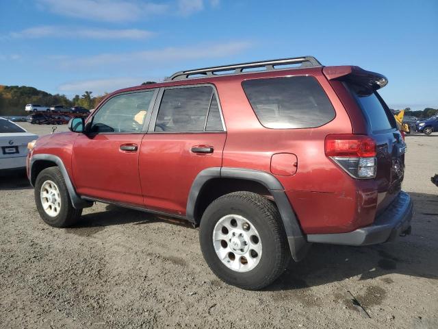 TOYOTA 4RUNNER SR 2010 burgundy 4dr spor gas JTEBU5JR6A5025248 photo #3