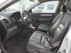 Lot #3006029776 2011 HONDA CR-V EXL