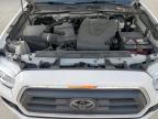 TOYOTA TACOMA DOU photo