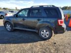 FORD ESCAPE XLT photo