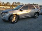 2024 HONDA PILOT EXL - 5FNYG1H55RB031828