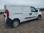 RAM PROMASTER photo