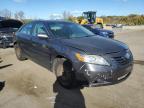 Lot #3025045194 2009 TOYOTA CAMRY BASE