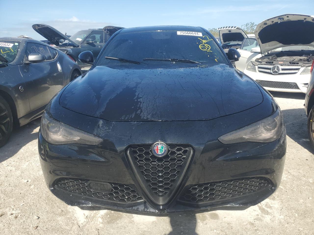 Lot #2975937269 2019 ALFA ROMEO GIULIA