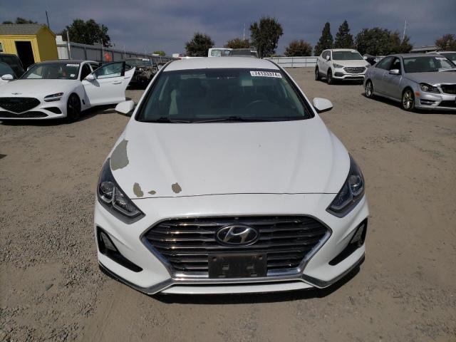 2019 HYUNDAI SONATA SE - 5NPE24AF3KH762772