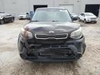 KIA SOUL photo