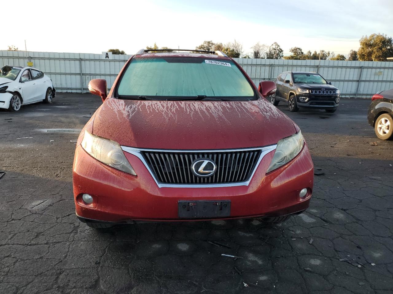 Lot #3030461478 2010 LEXUS RX 350