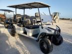 Lot #3025675485 2023 STARCRAFT GOLF CART