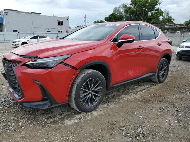 2024 LEXUS NX 250 BAS #2990586681