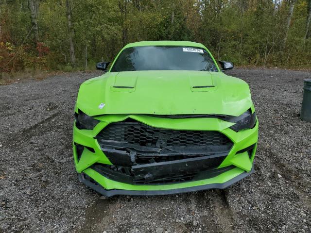 2019 FORD MUSTANG - 1FA6P8TH2K5103311
