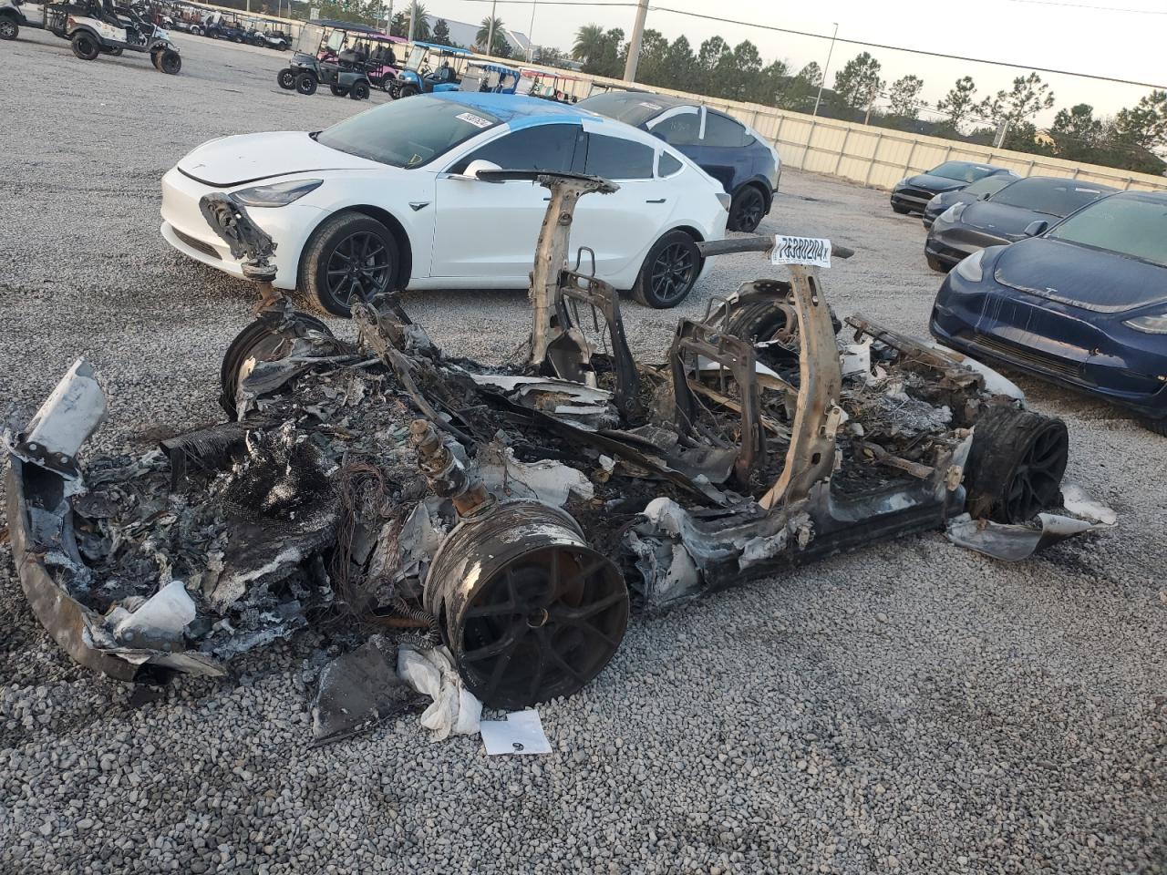 Lot #2996566705 2021 TESLA MODEL S