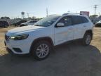 2019 JEEP CHEROKEE L - 1C4PJLCB5KD484947