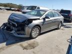 2017 HYUNDAI SONATA HYB - KMHE24L15HA059736