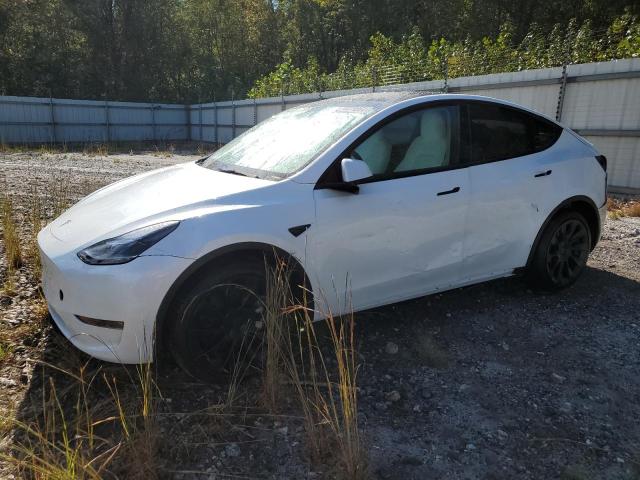 2024 TESLA MODEL Y - 7SAYGDEE7RF993704