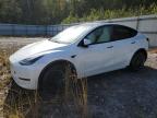 2024 TESLA MODEL Y - 7SAYGDEE7RF993704