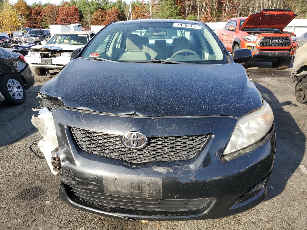 Lot #2954971240 2010 TOYOTA COROLLA BA