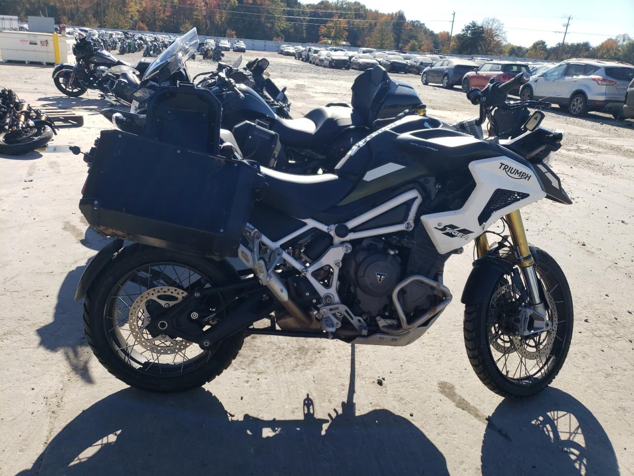 Triumph Tiger 2023 1200 Rally Pro