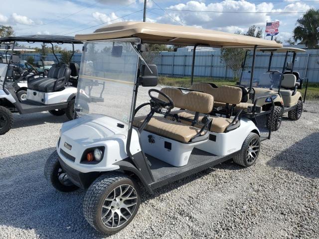 OTHER GOLF CART 2021 white   FLA112525 photo #3