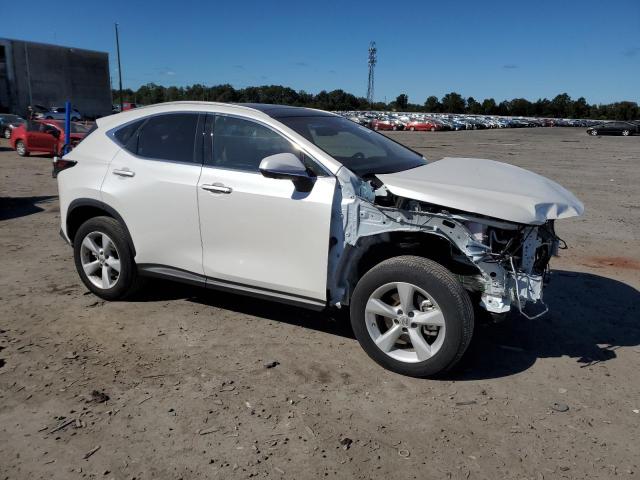 2024 LEXUS NX 350 LUX JTJHGCEZ2R2018411