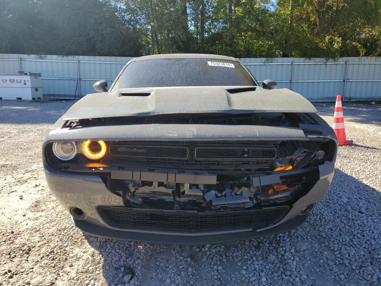 Lot #2989087932 2023 DODGE CHALLENGER