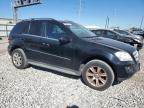 MERCEDES-BENZ ML 350 photo