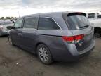 HONDA ODYSSEY EX photo