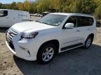 LEXUS GX 460 photo