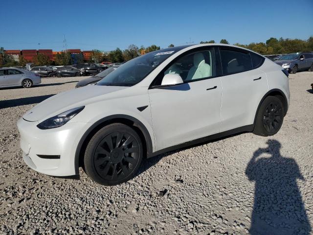 2022 TESLA MODEL Y #2974499454