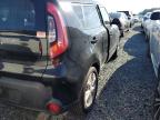 KIA SOUL + photo