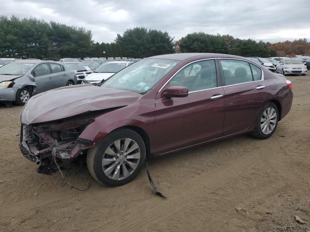 VIN 1HGCR2F80EA073478 2014 Honda Accord, Exl no.1