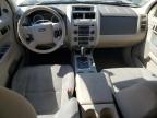 FORD ESCAPE XLT photo