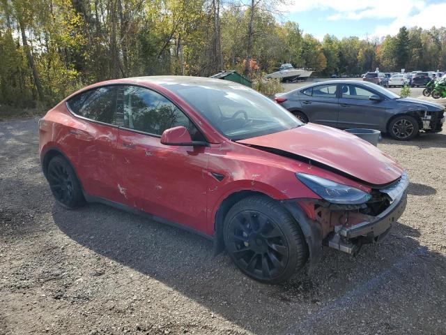 2023 TESLA MODEL Y - 7SAYGAEEXPF635119