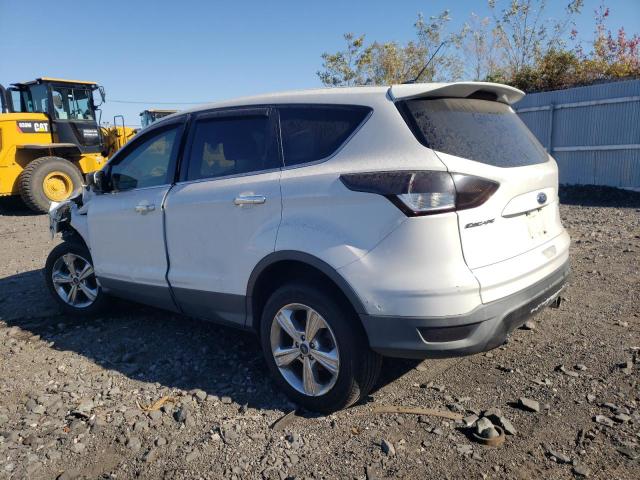 VIN 1FMCU0GX4DUC48041 2013 Ford Escape, SE no.2