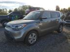 KIA SOUL photo