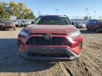 Lot #3024660625 2021 TOYOTA RAV4 LE