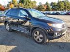 KIA SORENTO EX photo