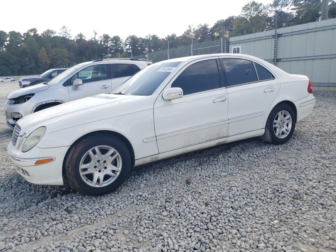 Lot #3003814483 2005 MERCEDES-BENZ E-CLASS