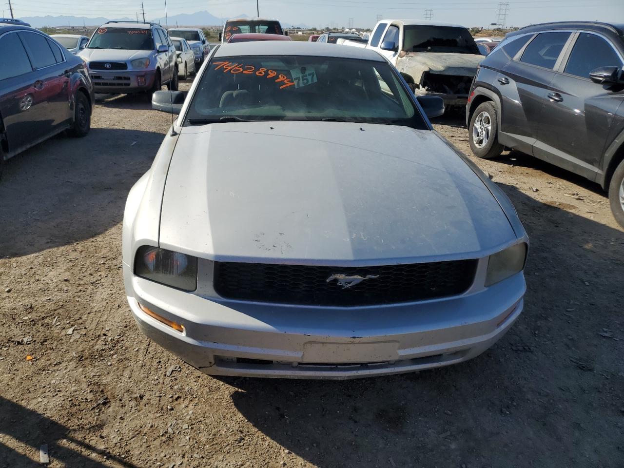 Lot #2988995610 2006 FORD MUSTANG