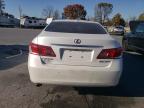 Lot #3024224831 2010 LEXUS ES 350