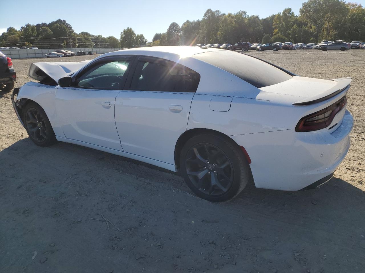 Lot #3030629116 2020 DODGE CHARGER SX