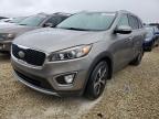 KIA SORENTO EX photo