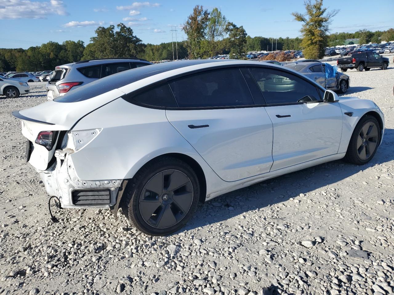 Lot #3022813323 2021 TESLA MODEL 3